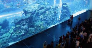 Dubai Aquarium