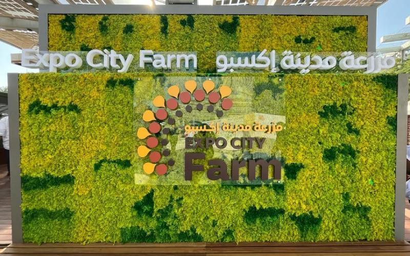 The entrance view of • Expo City Farm in Dubai